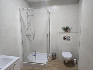 Koupelna v ubytování Apartamenty Na wzgórzu