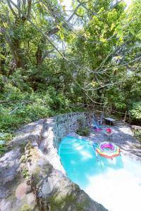 a swimming pool with an umbrella and a chair in it at New Natural Paradise Amazing Pet Friendly Cabin in Xoxocotla