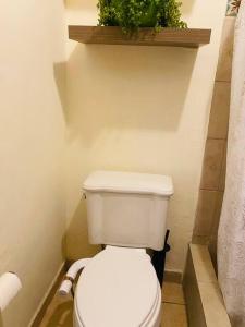 Koupelna v ubytování Casa Azul loft 2 blocks malecon with garage