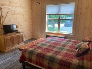 a bedroom with a bed and a tv and a window at Eagles Nest in Birdseye