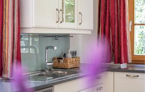 A cozinha ou cozinha compacta de Ferienhaus Am Katschberg mais 8 fotos