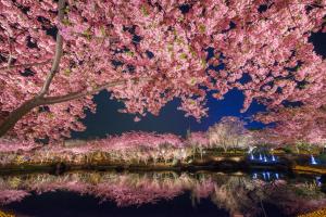 Un jardín fuera de Hotel Castle Inn Yokkaichi