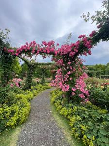Zahrada ubytování 余裕堂軽井沢山荘