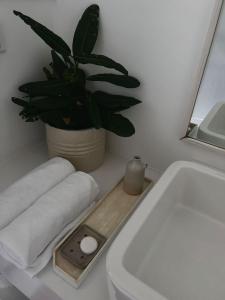a bathroom with a toilet and a plant on a counter at Saffron Robes Living in Hikkaduwa