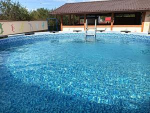 a swimming pool with a chair in the water at Casa DAnto in Şelimbăr