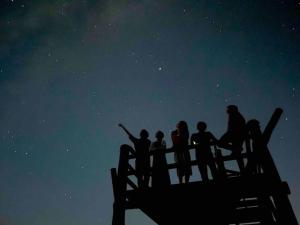 Gestir sem dvelja á 大自然の中で満天の星空体験