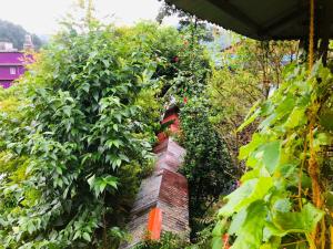 Foto de la galeria de Goodday Backpackers a Pokhara