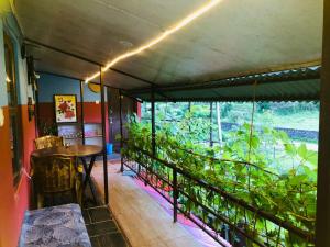 Foto de la galeria de Goodday Backpackers a Pokhara