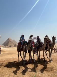 Tetamu yang menginap di Happy Day Pyramids View Hotel