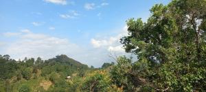 Phong cảnh thiên nhiên gần nhà khách