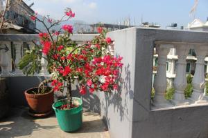Gambar di galeri bagi Hotel Fishtail Villa di Pokhara