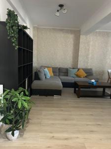 a living room with a couch and a table at Silvana Apartament in Roşu