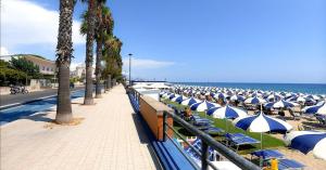 a row of beach chairs with umbrellas on the beach at Calliope in Terracina