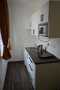 Kuchyň nebo kuchyňský kout v ubytování Ubytování u Ráfy + 3 fotografie