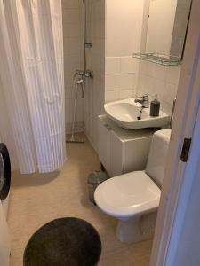 un baño con inodoro y lavabo en Tuohilinna, en Rovaniemi