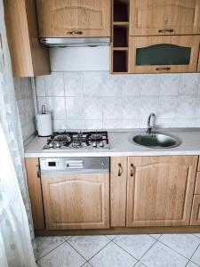 a kitchen with a stove and a sink at Maria apart in Făgăraş +10 photos