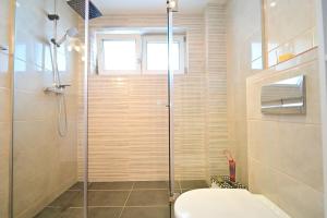 a bathroom with a shower with a toilet and a sink at FLH - Apartament Kathy Sibiu in Turnişor +12 photos