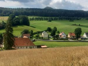a small village in a green field with houses at Ferienwohnung Streit in Kurort Gohrisch
