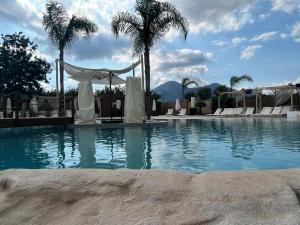 a large swimming pool with palm trees and a canopy at Time in Poggiomarino