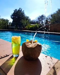 a drink and a coconut sitting next to a swimming pool at Cycad Place Midrand Guesthouse and B&B in Midrand