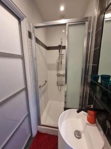 a bathroom with a shower and a white sink at Studio climatisé avec jardin - proche Paris in Saint-Maur-des-Fossés