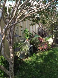 Φωτογραφία από το άλμπουμ του HANA Homestay σε Taitung City