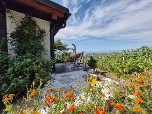 a chair sitting on the side of a building with flowers at Vineyard Cottage with Private Jacuzzi in Metlika