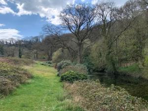 ein Bach in einem Feld neben einem Fluss mit Bäumen in der Unterkunft Jurassic Coast Holiday Home in Charmouth