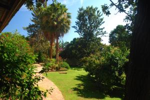 ogród z palmami i zieloną trawą w obiekcie Karibu Entebbe w mieście Entebbe