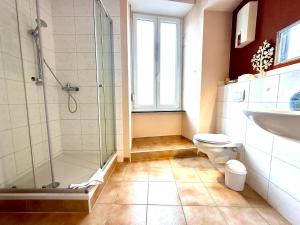 a bathroom with a shower and a toilet and a sink at Ferienwohnungen-Traben-Trarbach in Traben-Trarbach +22 photos