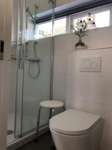 a bathroom with a toilet and a shower and a stool at DeZwarteRuiter in Callantsoog