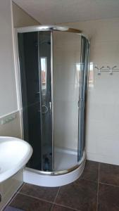 a glass shower in a bathroom with a sink at Apartment 4 Zum Kuhstall Heinrichsberg - Magdeburg in Niegripp +24 photos