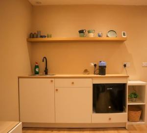 Köök või kööginurk majutusasutuses Modern Studio Apartment in Cashel