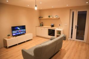 TV a/nebo společenská místnost v ubytování Modern Studio Apartment in Cashel
