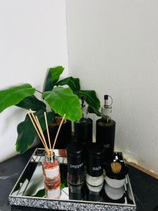 Gallery image of Easy Living Apartment 2 in Rundu +8 photos