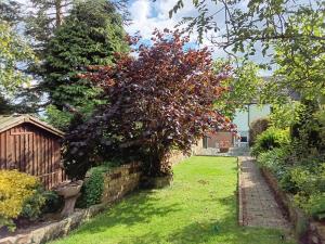 a garden with a tree with red leaves at Foresters Guest House Ltd in Crook