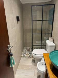 ein Badezimmer mit Toilette, Waschbecken und Dusche in der Unterkunft ApartaHotel Lacatedral in Reconquista