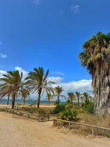 Naturlandskabet i nærheden af lejligheden