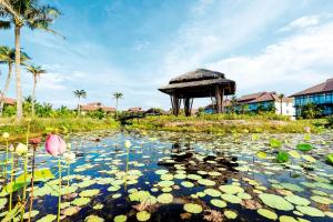 Zahrada ubytování ROBINSON Nam Hoi An