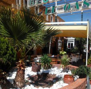 un jardín con palmeras y una sombrilla frente a un edificio en Hotel El Oasis, en Carchel