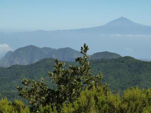 a tree in the foreground with mountains in the background at Casa Rural La Cuadra in Hermigua