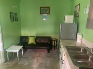 Una cocina o kitchenette en Hilltop Haven Apartment #1