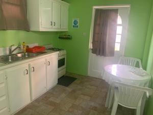 Una cocina o kitchenette en Hilltop Haven Apartment #1