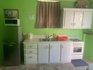 Una cocina o kitchenette en Hilltop Haven Apartment #1