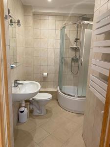 a bathroom with a sink toilet and a shower at Pokoje gościnne Orlovo DT in Gdynia