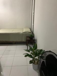 a bedroom with a bed and a plant and a chair at Loft no centro de Araxá in Araxá