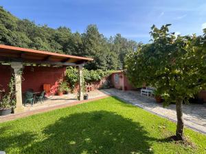 a yard with a house with a tree in the yard at Casa Dos Caseiros in Brion