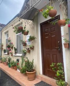 Giardino di Cherqe Guest House
