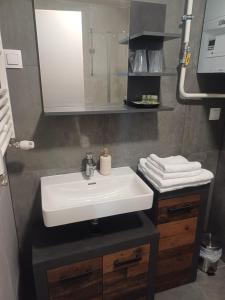 a bathroom with a sink and a mirror and towels at Apartment Rosa in Varaždin