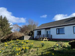 een huis met een veld narcissen ervoor bij Sunnyhill Cottage in North Erradale
